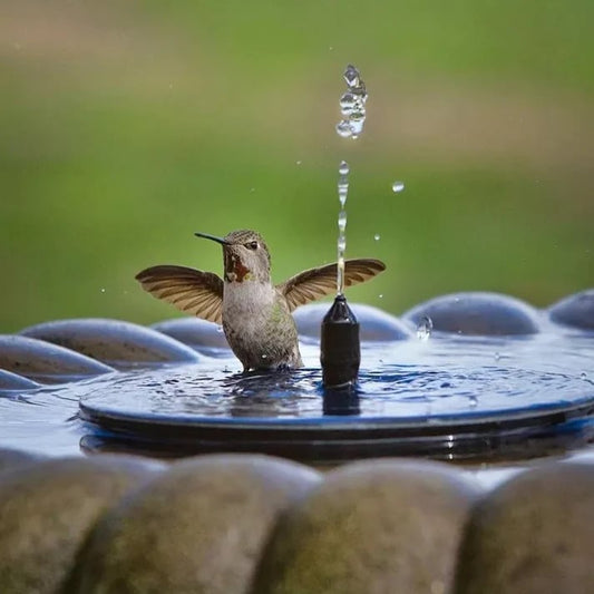 🎁Fontaine à énergie solaire