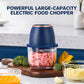 ⚡🥦 Kraftvoller Großvolumen-Elektrohacker – 1000W Motor, 2L BPA-freie Schüssel & Ein-Tasten-Pulsbetrieb 🥕
