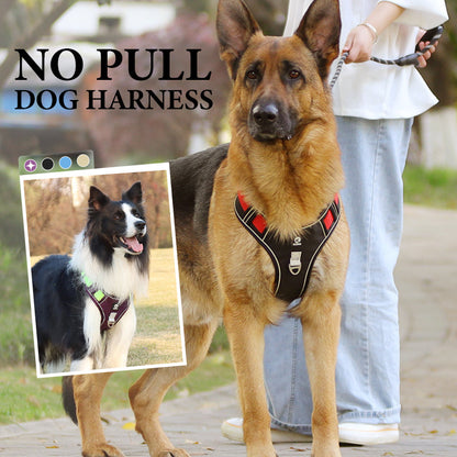 50% de Réduction – Harnais Anti-Traction pour Chien avec Laisse et Collier LED