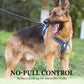 50% de Réduction – Harnais Anti-Traction pour Chien avec Laisse et Collier LED