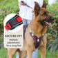 50% de Réduction – Harnais Anti-Traction pour Chien avec Laisse et Collier LED
