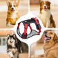 50% de Réduction – Harnais Anti-Traction pour Chien avec Laisse et Collier LED