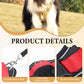 50% de Réduction – Harnais Anti-Traction pour Chien avec Laisse et Collier LED