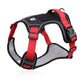 50% de Réduction – Harnais Anti-Traction pour Chien avec Laisse et Collier LED