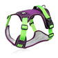 50% de Réduction – Harnais Anti-Traction pour Chien avec Laisse et Collier LED