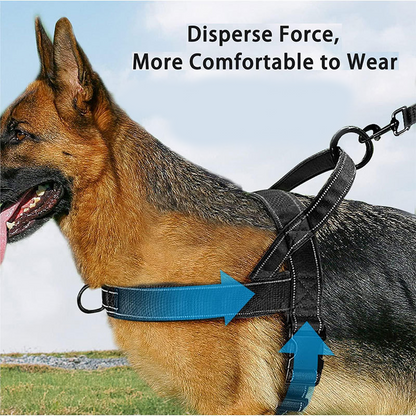 50% de Réduction – Harnais Tactique Chien Anti-Traction et Anti-Étranglement