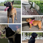 50% de Réduction – Harnais Tactique Chien Anti-Traction et Anti-Étranglement