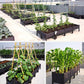 🌱 Économisez 50% ! 🥬 Bac de plantation multifonctionnel – Cultivez légumes & herbes facilement ✨
