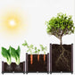 🌱 Économisez 50% ! 🥬 Bac de plantation multifonctionnel – Cultivez légumes & herbes facilement ✨