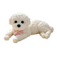 🧸 -50% ! 🐶 Nounours Anti-Stress à Presser – Doux & Adorable ✨