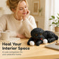 🧸 -50% ! 🐶 Nounours Anti-Stress à Presser – Doux & Adorable ✨
