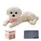 🧸 -50% ! 🐶 Nounours Anti-Stress à Presser – Doux & Adorable ✨