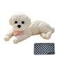 🧸 -50% ! 🐶 Nounours Anti-Stress à Presser – Doux & Adorable ✨