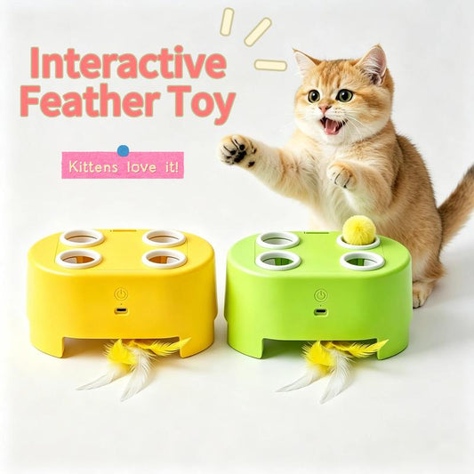 50% de Réduction – Jouet Interactif Whack-a-Mole pour Chat