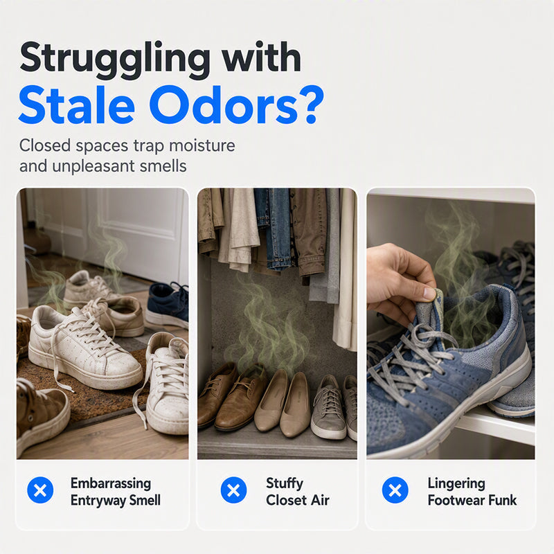 Gel Désodorisant pour Meuble à Chaussures