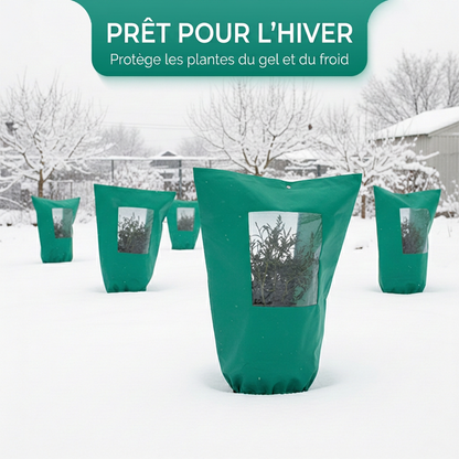 50% de Réduction – Housse d'Hivernage pour Plantes (Anti-Gel & Respirante)