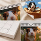 50% de Réduction – Calendrier Mural 2027 Cochons d'Inde, Photos Adorables