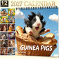 50% de Réduction – Calendrier Mural 2027 Cochons d'Inde, Photos Adorables