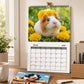 50% de Réduction – Calendrier Mural 2027 Cochons d'Inde, Photos Adorables