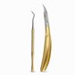 40% de Réduction – Pince Coupe-Ongles Incarnés et Peaux Mortes Professionnelle